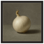 White Onion Still Life