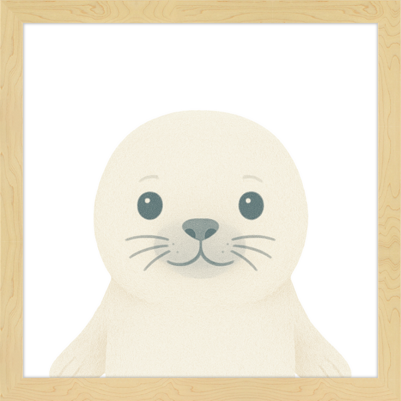 Baby Seal
