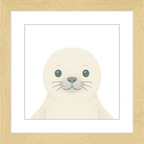 Baby Seal