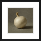 White Onion Still Life