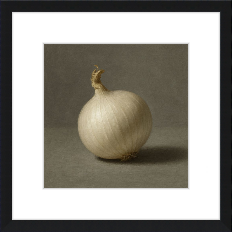 White Onion Still Life