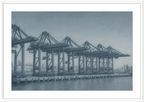 Cranes