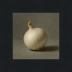White Onion Still Life