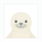 Baby Seal
