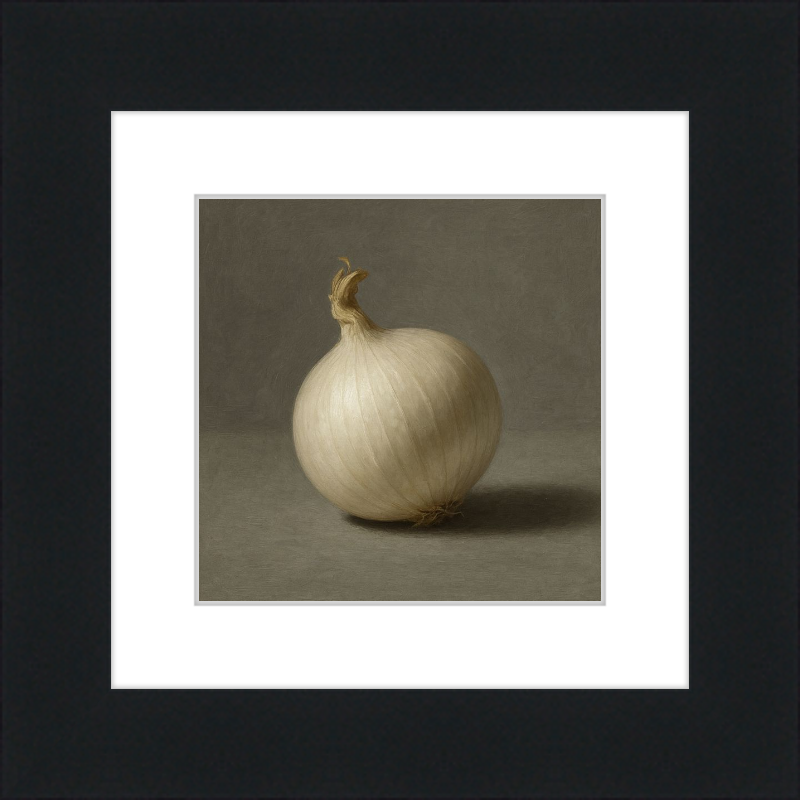 White Onion Still Life