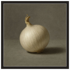 White Onion Still Life