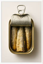 Tinned Sardines