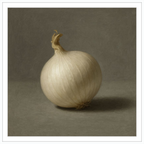 White Onion Still Life