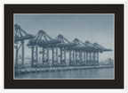 Cranes