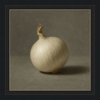 White Onion Still Life