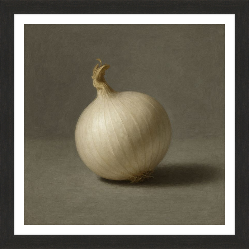 White Onion Still Life