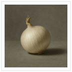 White Onion Still Life