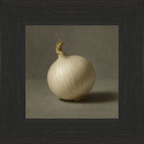 White Onion Still Life