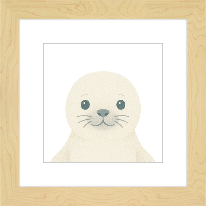 Baby Seal