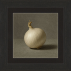 White Onion Still Life