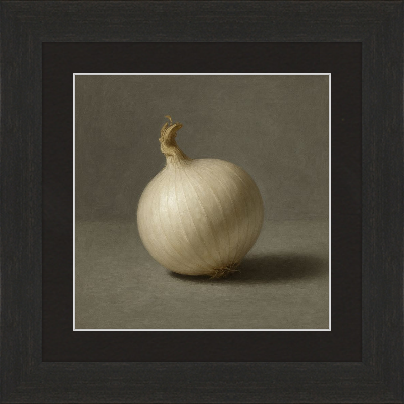 White Onion Still Life
