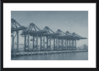 Cranes