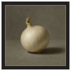 White Onion Still Life