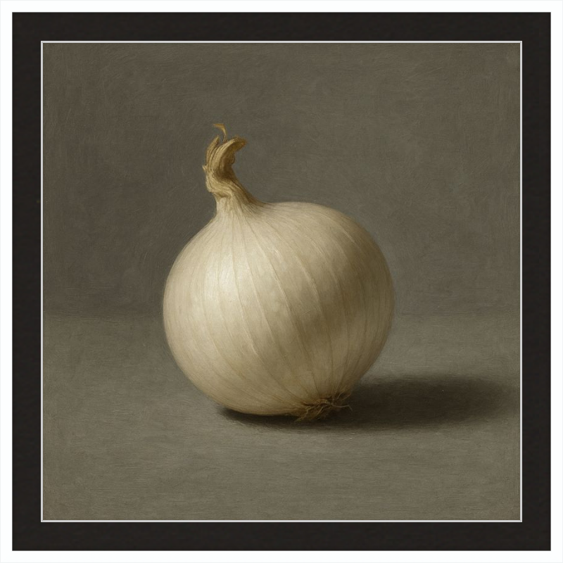 White Onion Still Life
