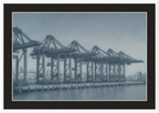 Cranes