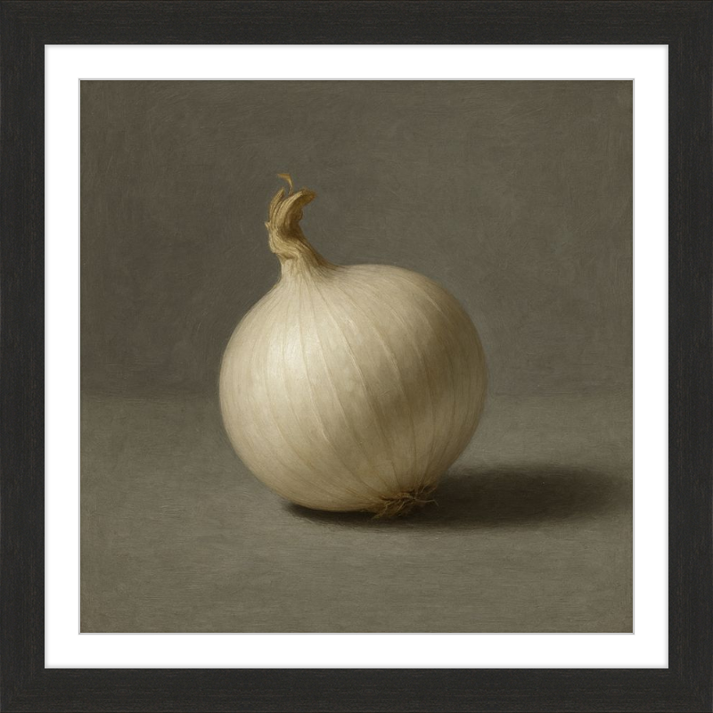 White Onion Still Life