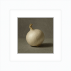 White Onion Still Life
