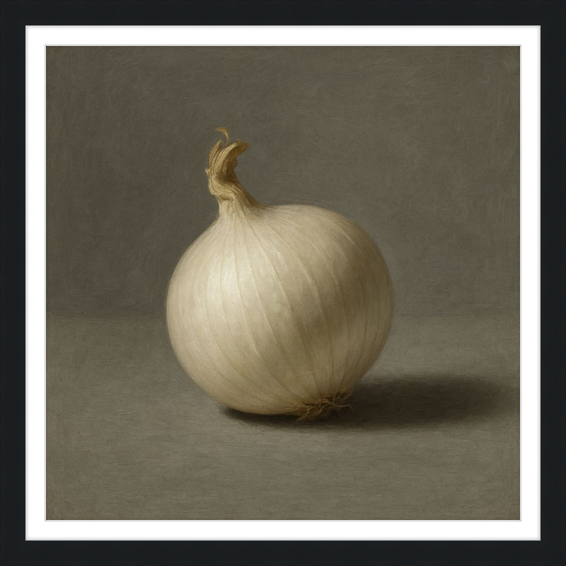 White Onion Still Life