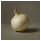 White Onion Still Life