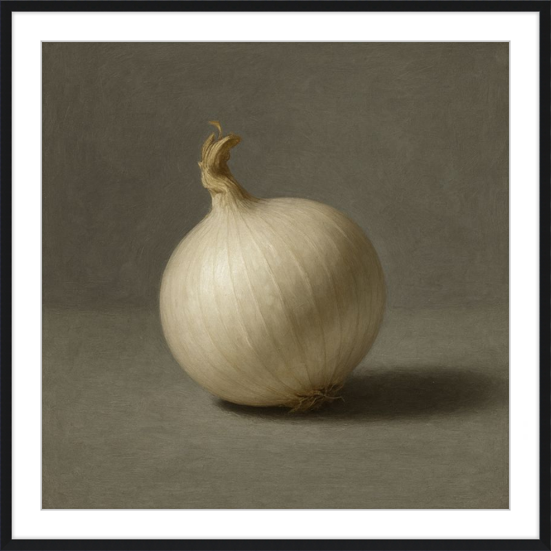 White Onion Still Life