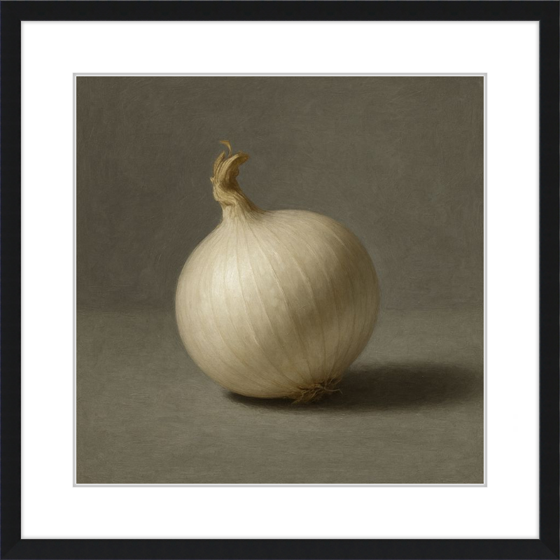 White Onion Still Life