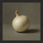 White Onion Still Life