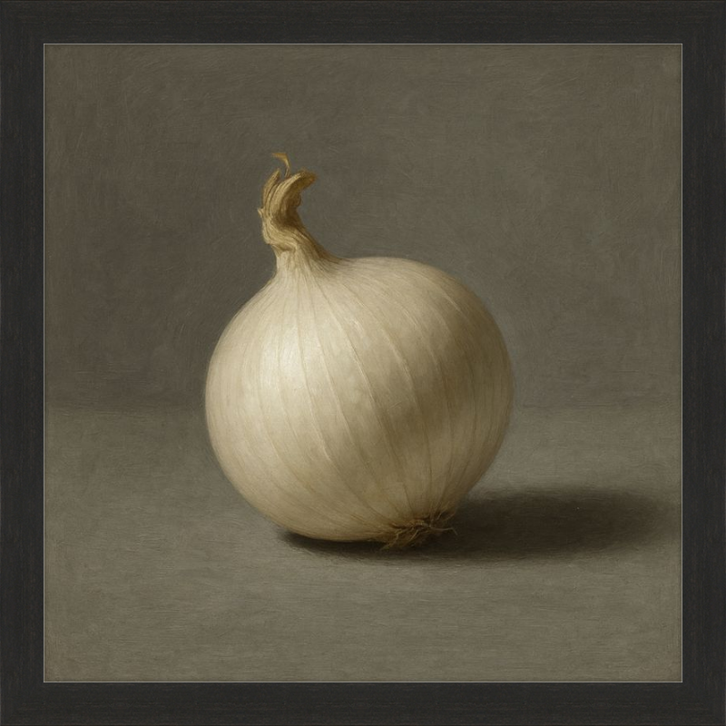 White Onion Still Life