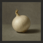 White Onion Still Life