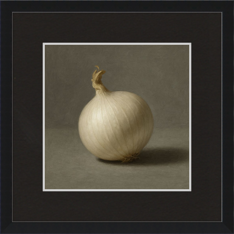 White Onion Still Life