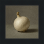 White Onion Still Life