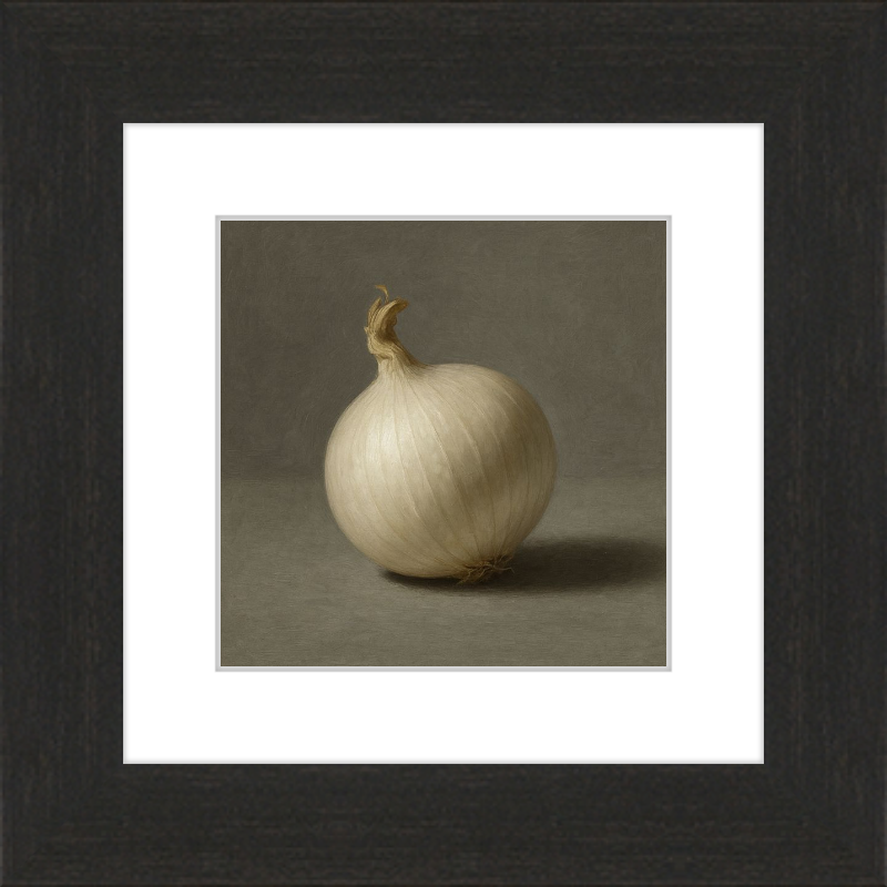 White Onion Still Life