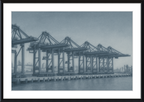 Cranes