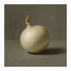 White Onion Still Life