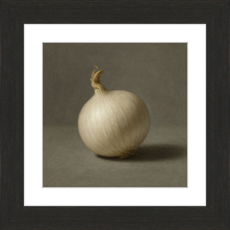 White Onion Still Life