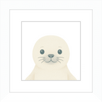 Baby Seal