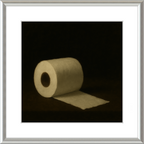 Toilet Roll