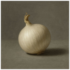 White Onion Still Life
