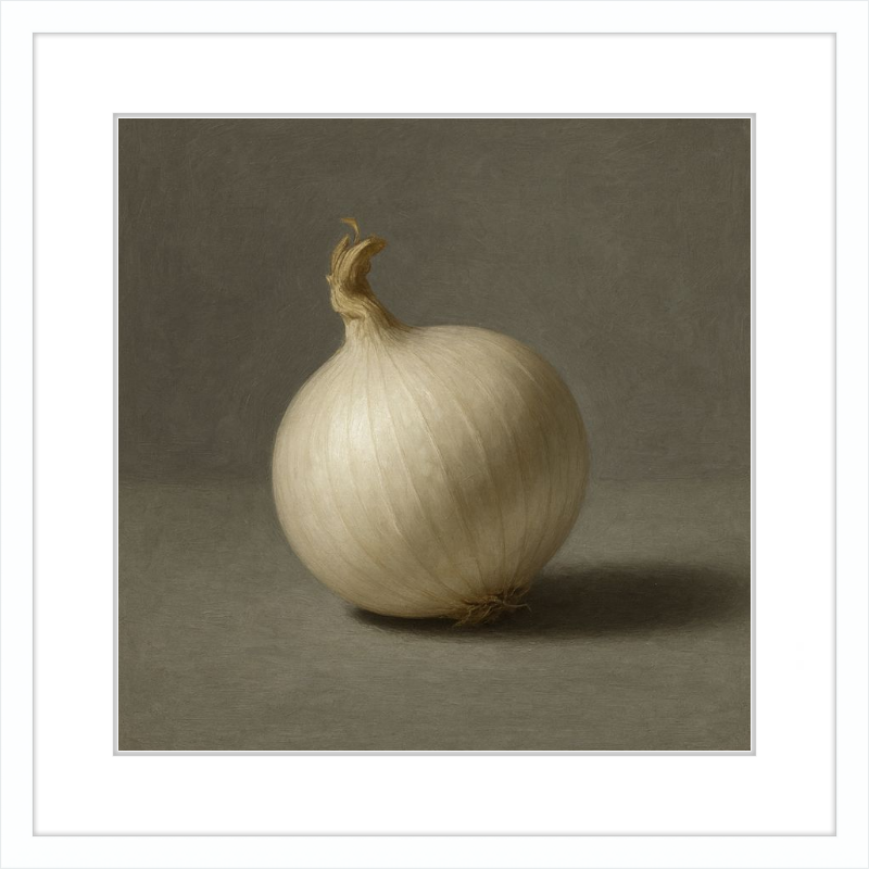 White Onion Still Life