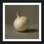 White Onion Still Life