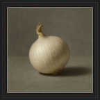 White Onion Still Life