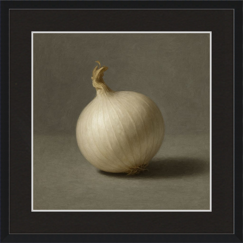White Onion Still Life