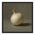 White Onion Still Life