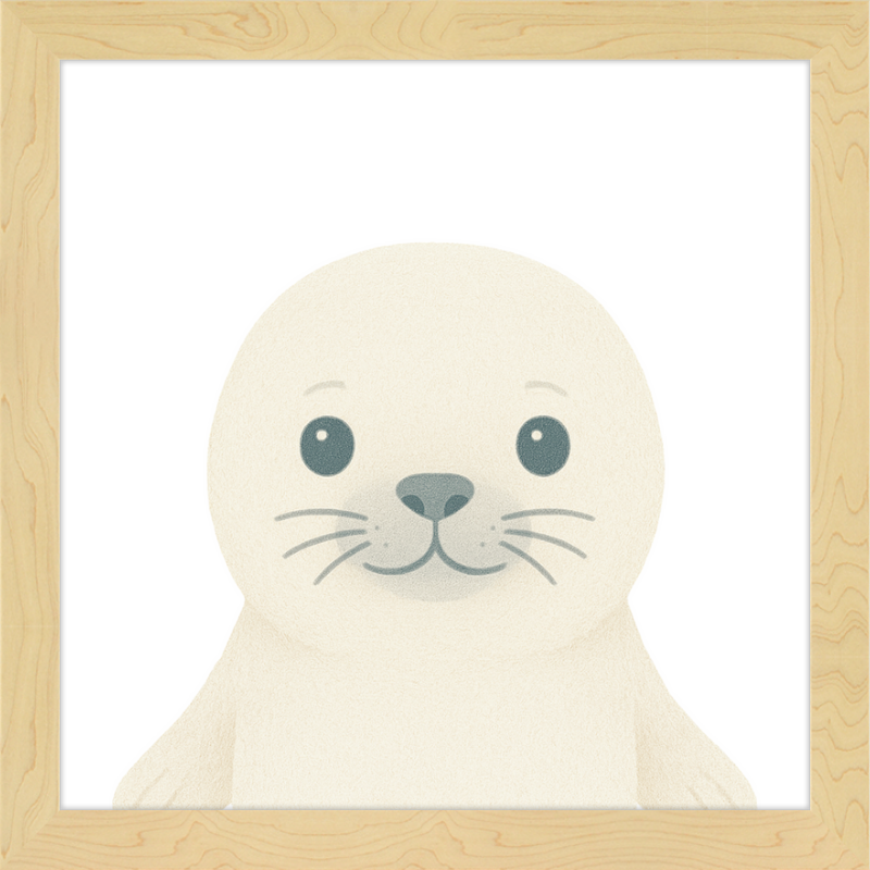 Baby Seal