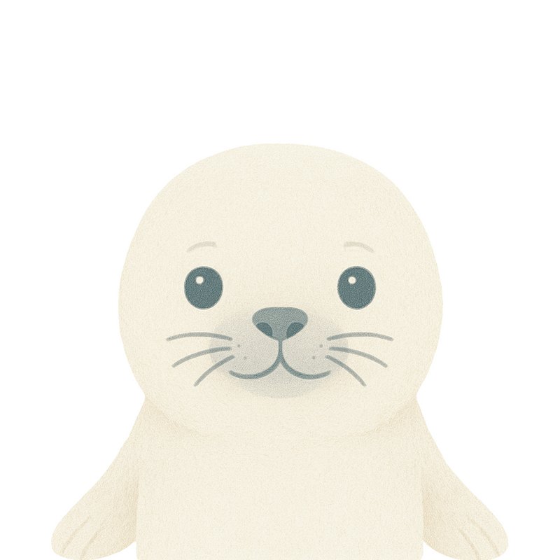 Baby Seal