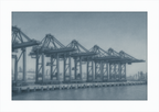 Cranes